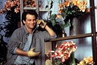 Кадр Постель из роз