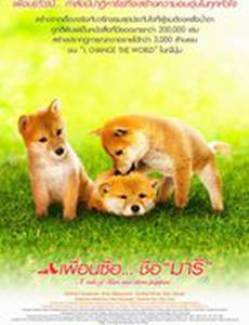 История Мари и трех щенков