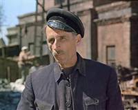 Кадр Красные пчелы