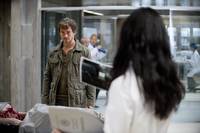 Кадр Ганнибал