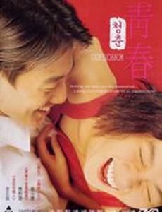 Сливовый цвет