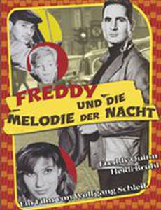 Freddy und die Melodie der Nacht