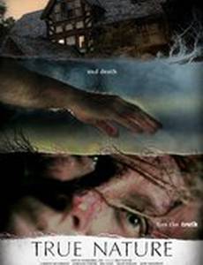 Истинная суть