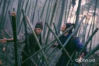 Кадр Дом летающих кинжалов