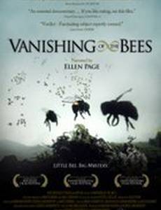 Исчезновение пчел