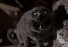 «Кладбище домашних животных» и «Семейку Аддамс» перезагрузят