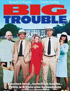 Большие неприятности