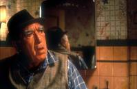 Кадр Лихорадка джунглей