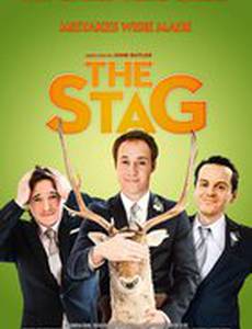 Мальчишник по-ирландски