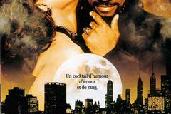 Вампир в Бруклине