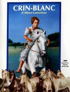 Белая грива: Дикая лошадь