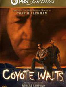 Coyote Waits