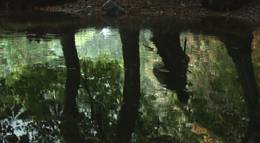 Кадр из фильма "Охота за Голлумом" - 1