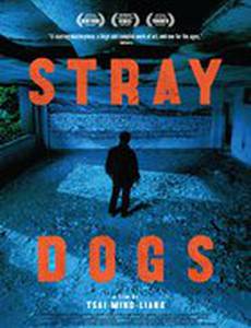 Бродячие псы