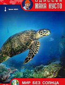 Одиссея Жака Кусто: Мир без солнца