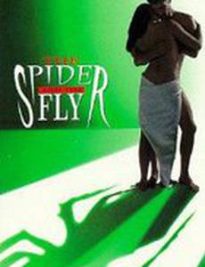 Паук и муха