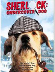 Шерлок Бонд: Пес-детектив