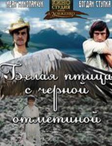 Белая птица с черной отметиной