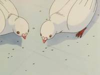 Кадр Красавица-воин Сейлор Мун Супер Эс