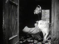 Кадр Зеркало