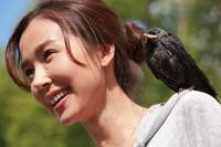 Кадр Доспехи Бога 3: Миссия Зодиак