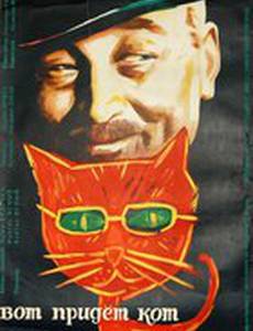 Вот придет кот