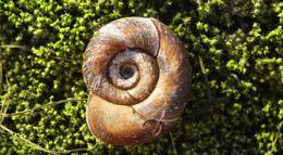 Кадр из фильма "15 stron swiata" - 1