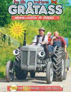 Маленький серый Ферджи