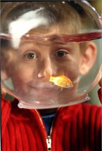 Кадр Малкольм в центре внимания