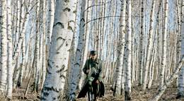 Кадр из фильма "Слезы апреля" - 1