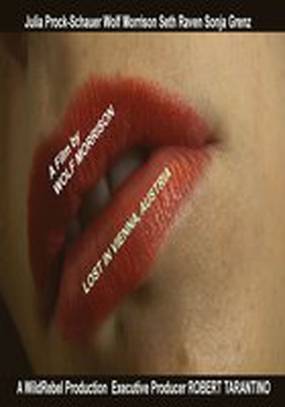 Lost in Vienna, Austria