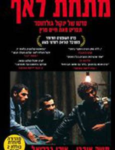 Прямо под носом