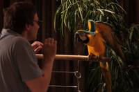 Кадр Ирония любви