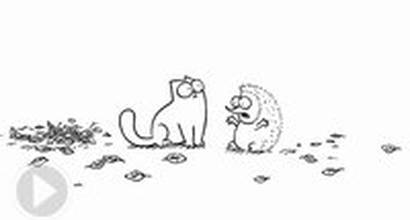 Фрагмент «Cat Chat»