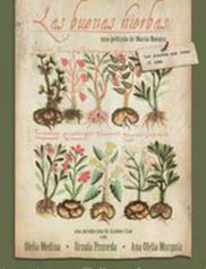 Полезные травы