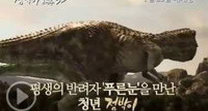 Промо-ролик