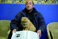 Кадр Мои звезды и Я