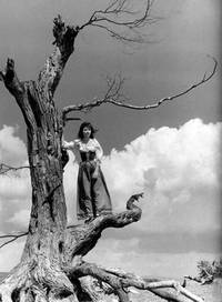 Кадр Хроника шута