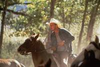 Кадр Городские пижоны 2: Легенда о золоте Кёрли