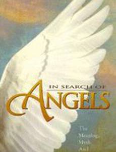 In Search of Angels