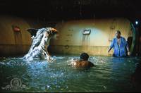 Кадр Тварь Питера Бенчли