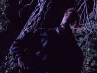 Кадр Кровавая резня (видео)