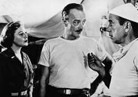 Кадр Арена боя