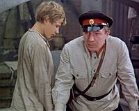 Кадр Красные пчелы