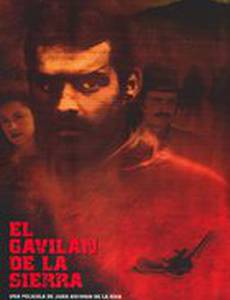 El gavilán de la sierra
