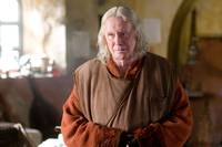 Кадр Мерлин