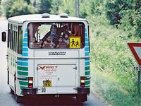 Кадр Летний лагерь