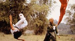 Кадр из фильма "Бесстрашная гиена" - 1