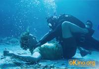 Кадр Золото дураков