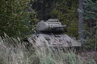 Кадр Белый тигр